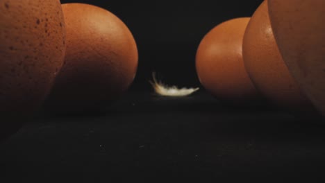 several fresh brown free-range eggs and feather