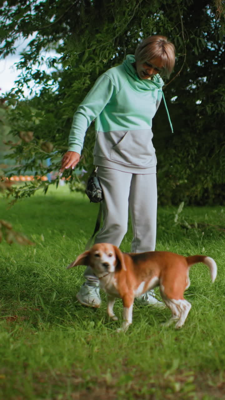 Una mujer entrena a un beagle con una golosina bajo un árbol en un parque, ofreciéndole una orden y una recompensa mientras el perro se sienta y se mueve alrededor del dueño, paseo informal en sudadera con capucha y zapatillas, orientación suave y afectuosa