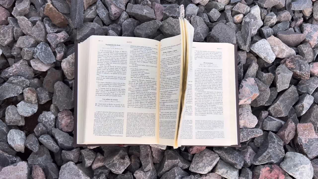 mi biblia es la presencia de dios en la tierra