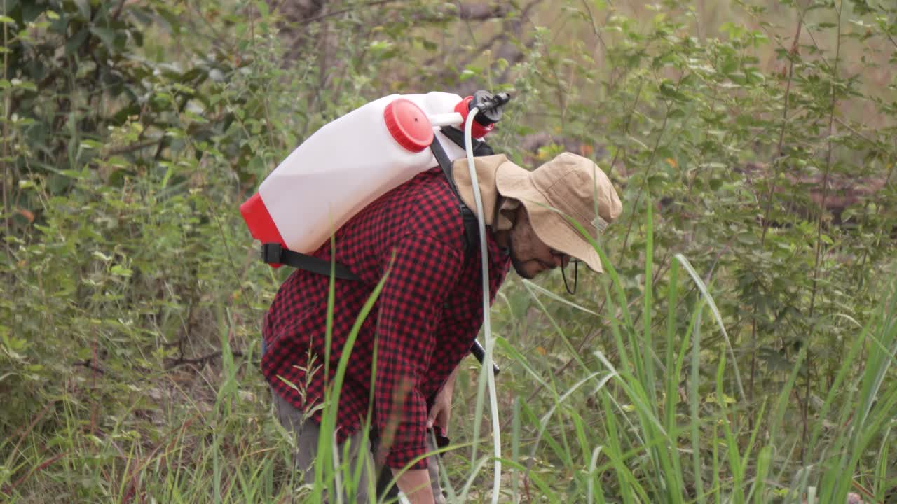 Piano americano di una guardia forestale che lavora con un irroratore a zaino nel bosco, indossa una camicia rossa e un cappello.