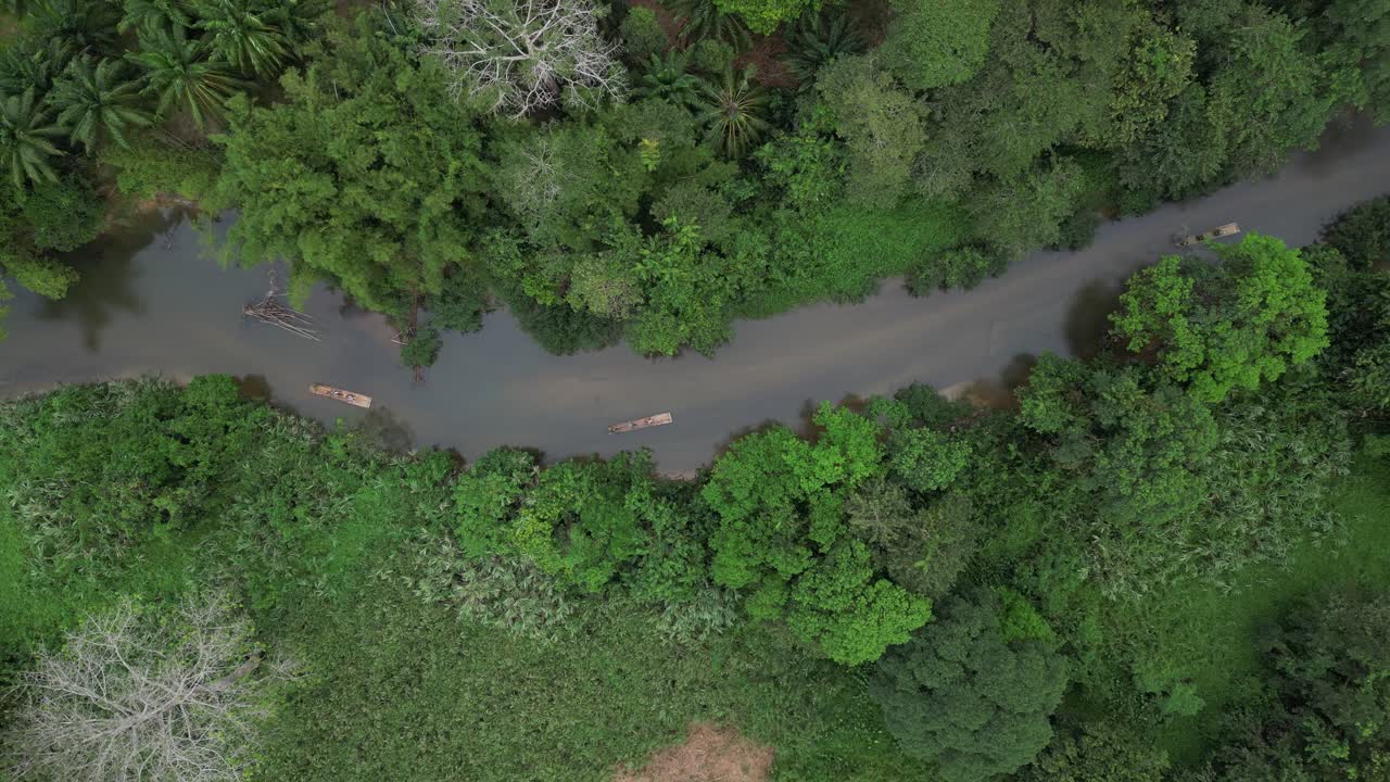 Cinematic top-down aerial view of a drone ascending over the Sok River. Traditional bamboo rafts with tourists glide through the water, surrounded by dense green jungle and palm trees in Surat Thani,
