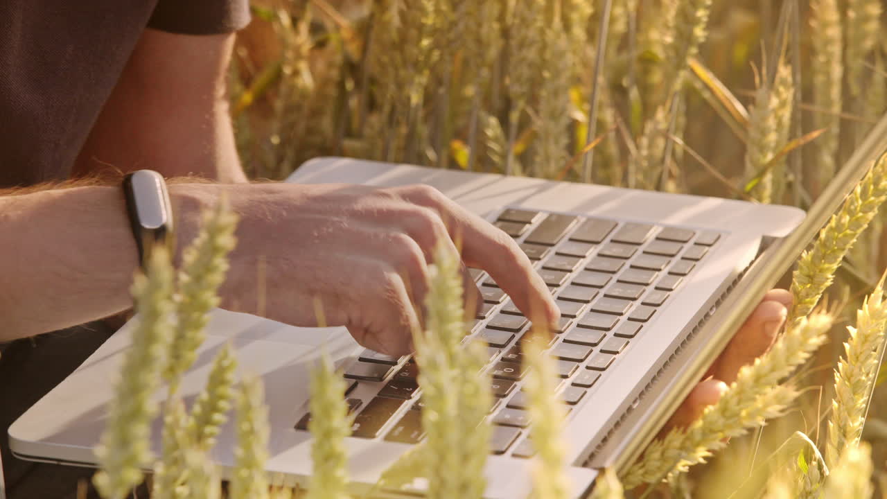 granjero escribiendo en el teclado de la computadora en el campo de trigo