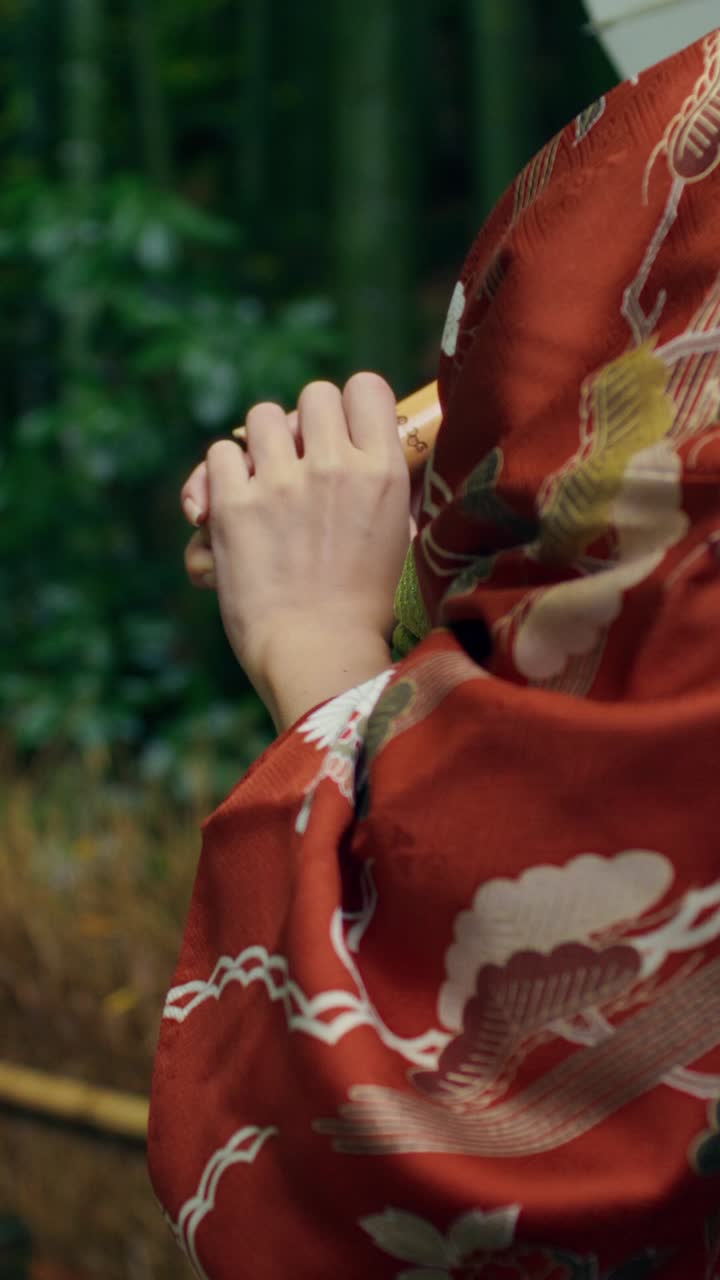 Woman in Traditional Japanese Kimono