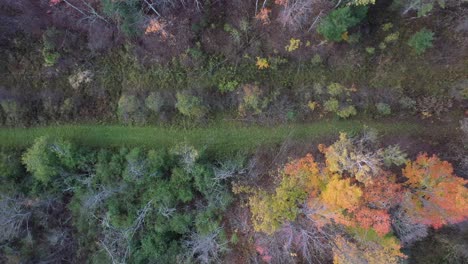 autumn trail going up with drone