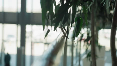 a close-up shot of a handrail and plant leaves with a blurred background. the image captures a serene indoor environment, emphasizing the depth-of-field effect