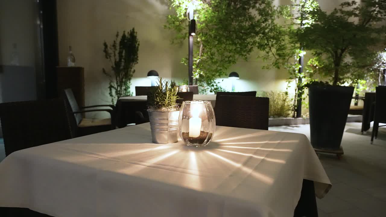 beautiful wine garden in an italian restaurant.