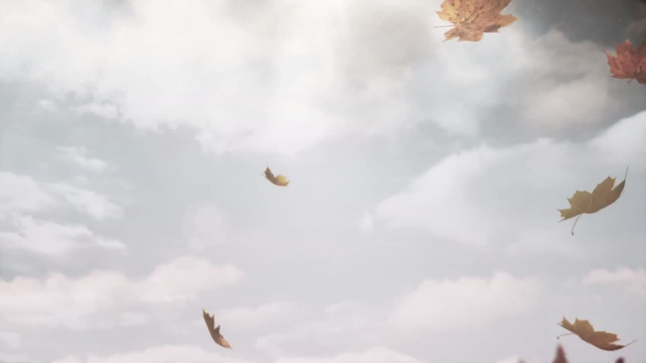 하늘의 구름에 맞서 떨어지는 여러 개의 가을 잎의 복합 비디오