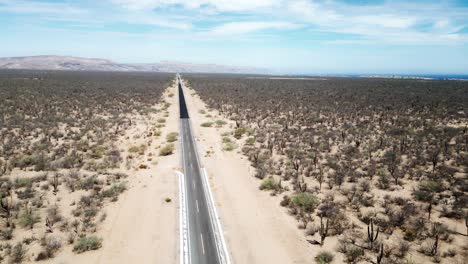 endless desert road in la paz, mexico, stretching through barren landscape
