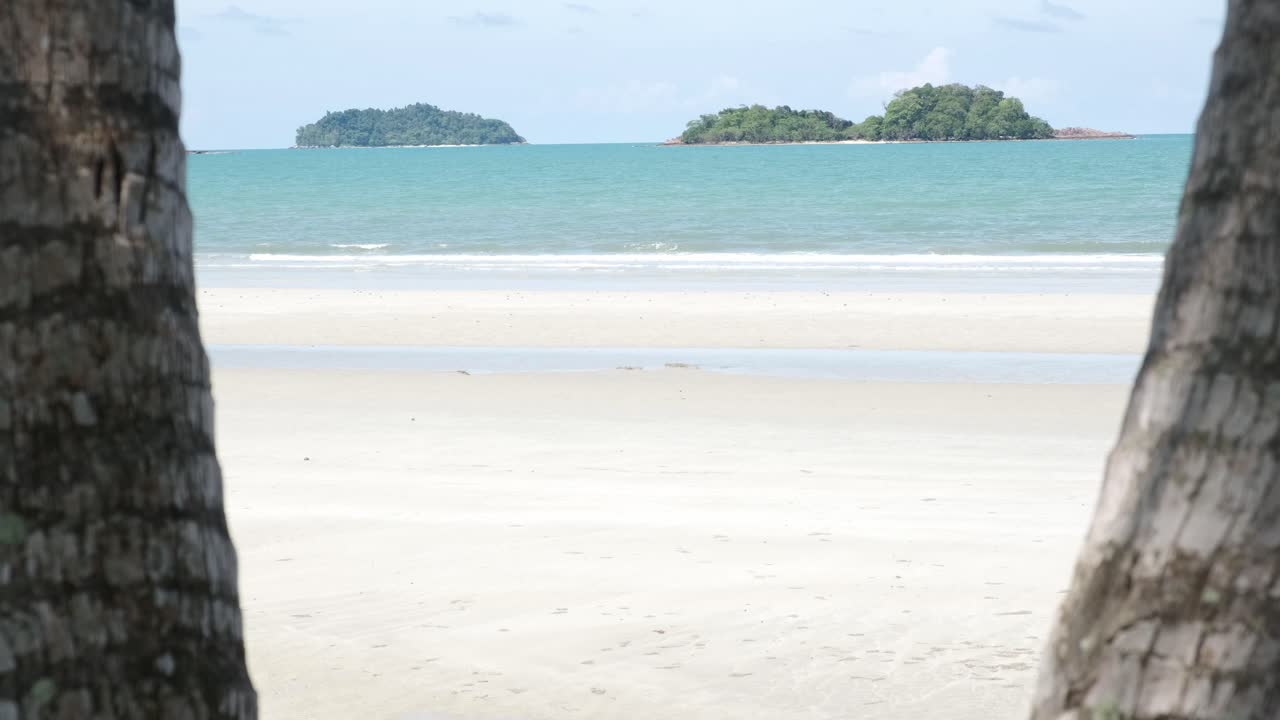 White sand beach with ocean and islands and two palm tree trunks