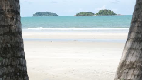white sand beach with ocean and islands and two palm tree trunks