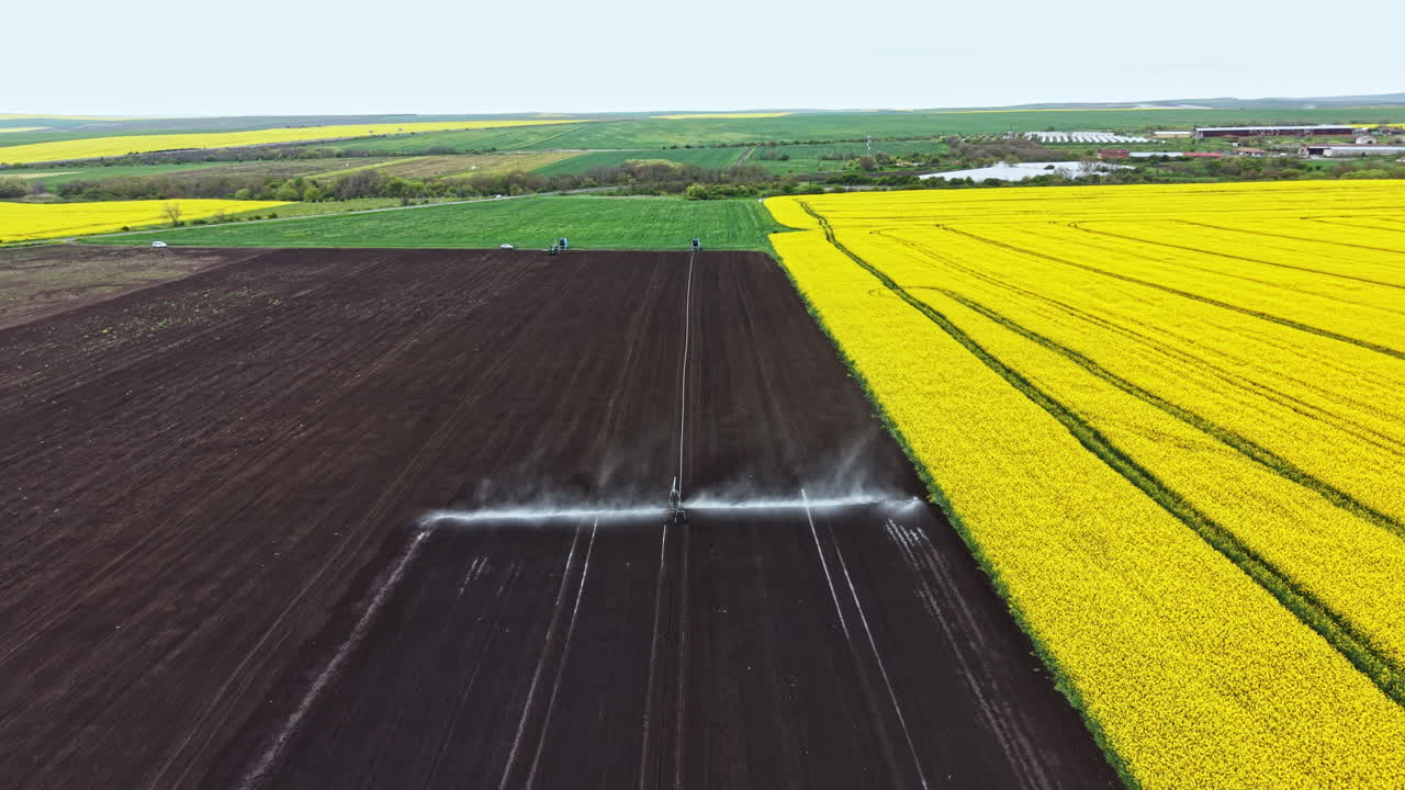 Lavoratori agricoli usano macchinari per seminare colture in un grande campo con fiori gialli sullo sfondo di giorno in una zona rurale