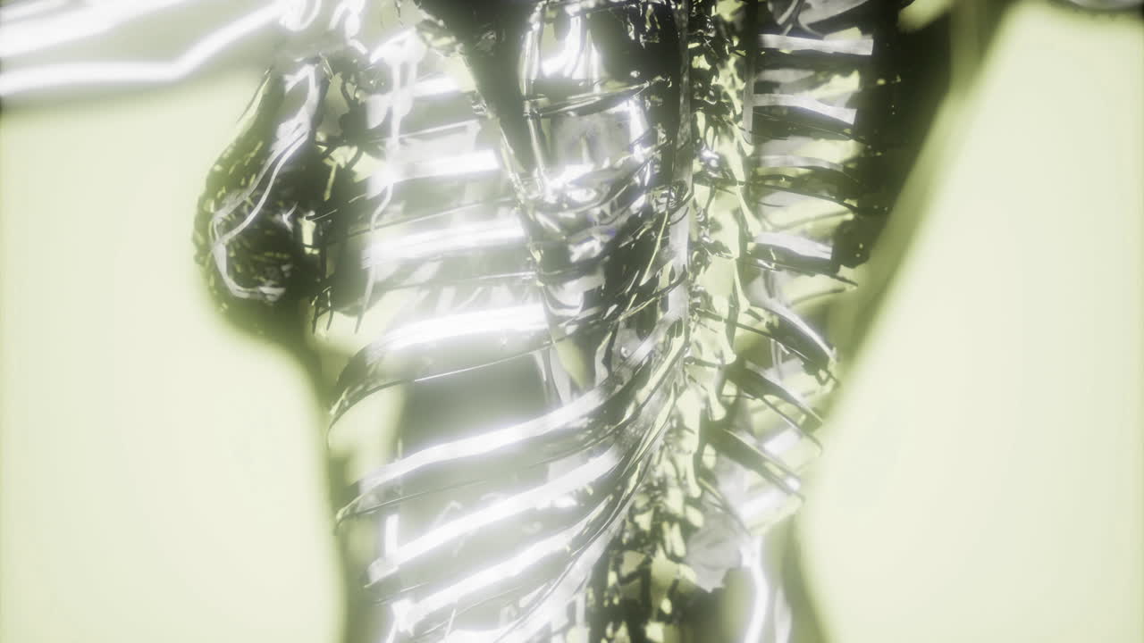 Dynamic illustration of human blood vessels and skeleton