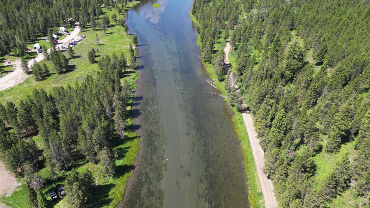Vihreä ikivihreä metsä, jossa on suuri, leveä ja hitaasti virtaava joki sekä sininen taivas