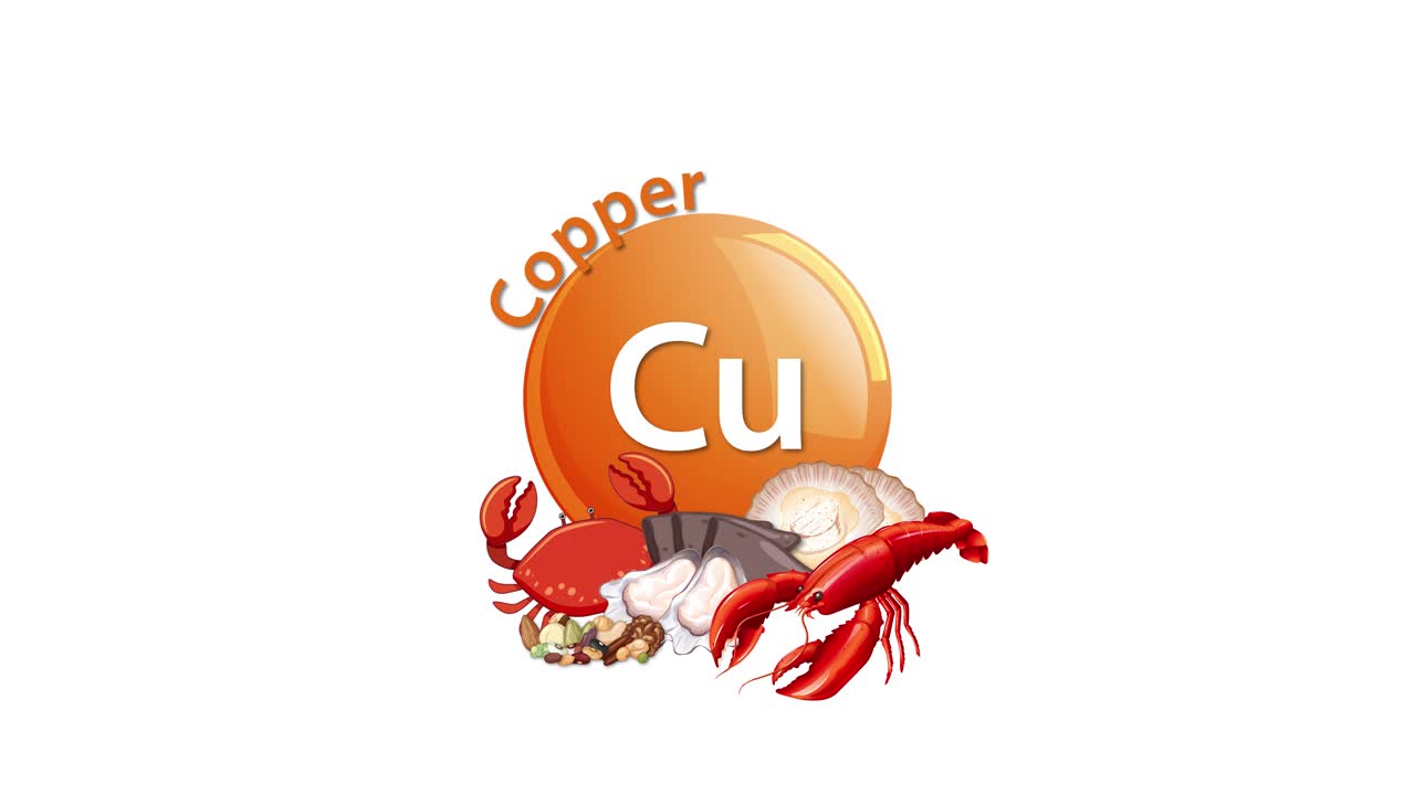 A dynamic animation introduces a copper element icon, followed by the appearance of seafood and shellfish illustrations, highlighting dietary sources on a clean white background