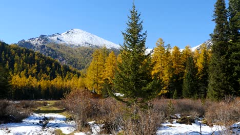 autumn landscape in mountains seamless loop