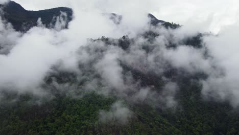 Sunrise-and-foggy-mountain-view-of-tea-plantation-at-Doi-Ang-Khang,-Chiang-Mai,-Thailand