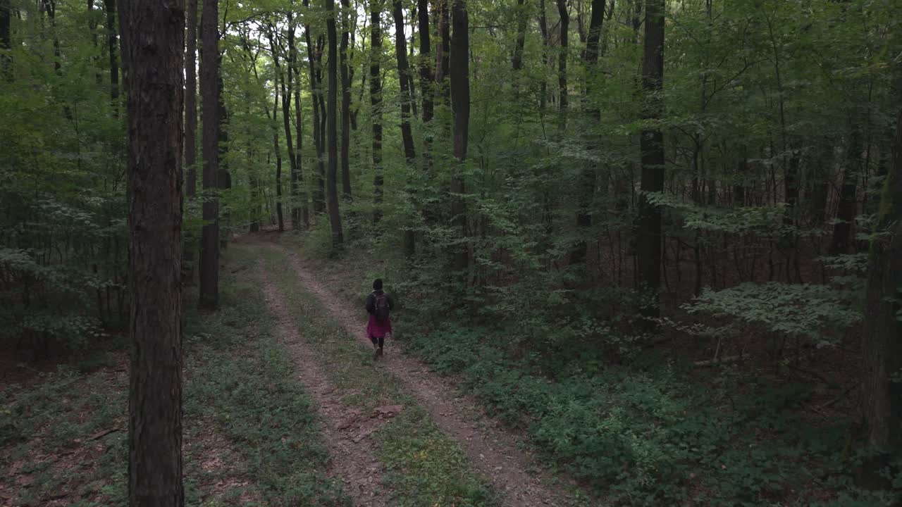 A lone hiker with a backpack walks along a dirt path surrounded by tall green trees in a peaceful forest. The soft natural light filters through the foliage, creating a calm outdoor atmosphere