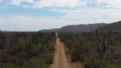 Unbefestigte-Straße-Im-Ländlichen-Mexiko,-In-Der-Nähe-Von-Todos-Santos