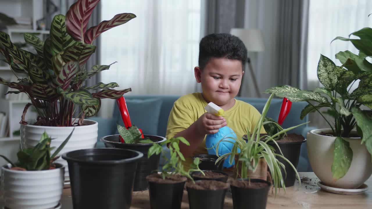 Asian Little Boy Taking Care Of Plant At Home