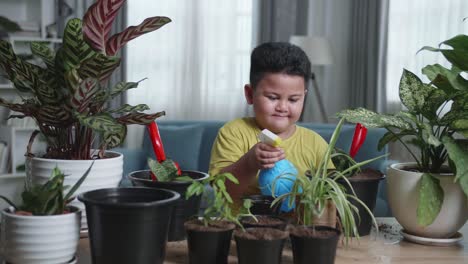 asian little boy taking care of plant at home