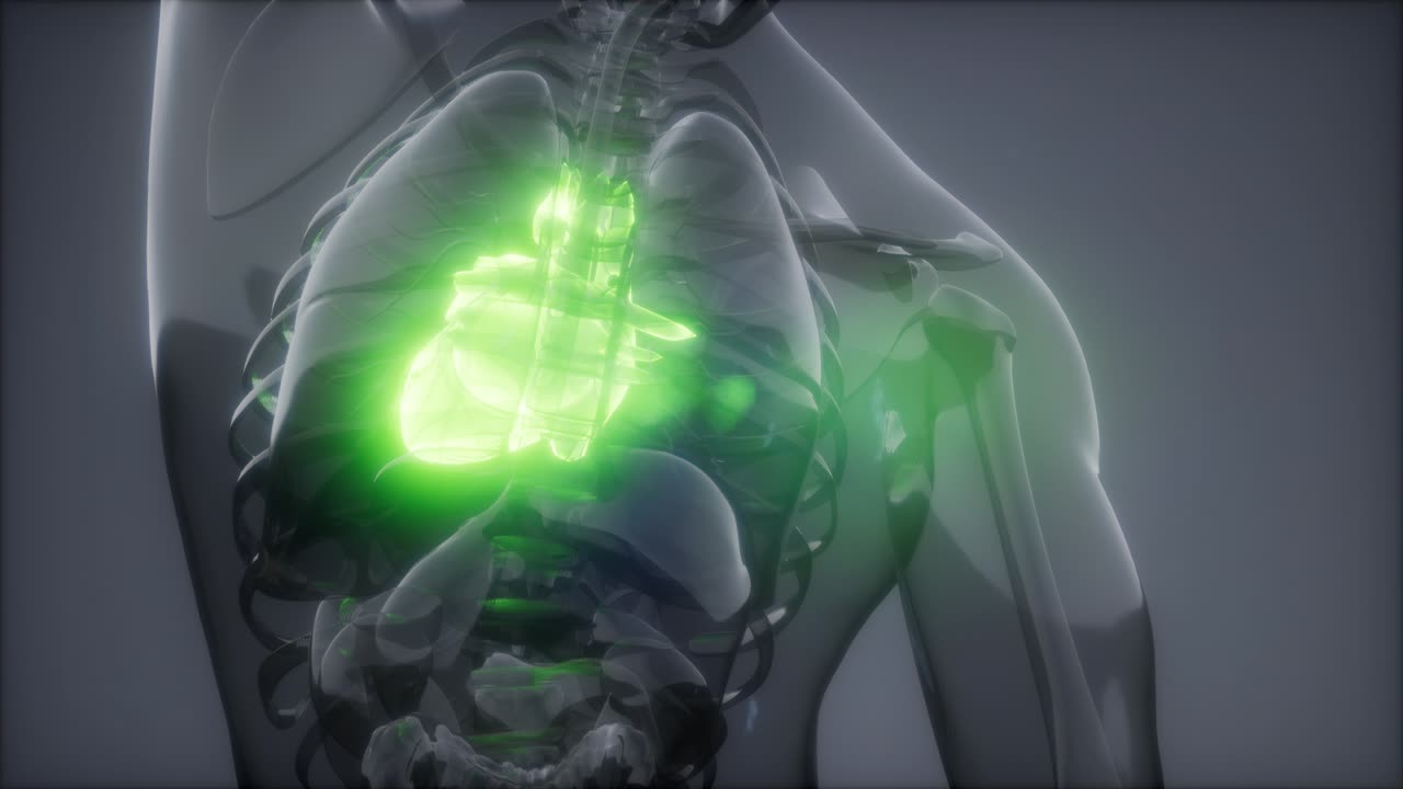 examen de radiología del corazón humano