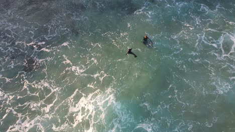 Cría-De-Foca-En-La-Playa-Con-Olas-Espumosas-En-Queensland,-Australia---Parte-Superior-Aérea