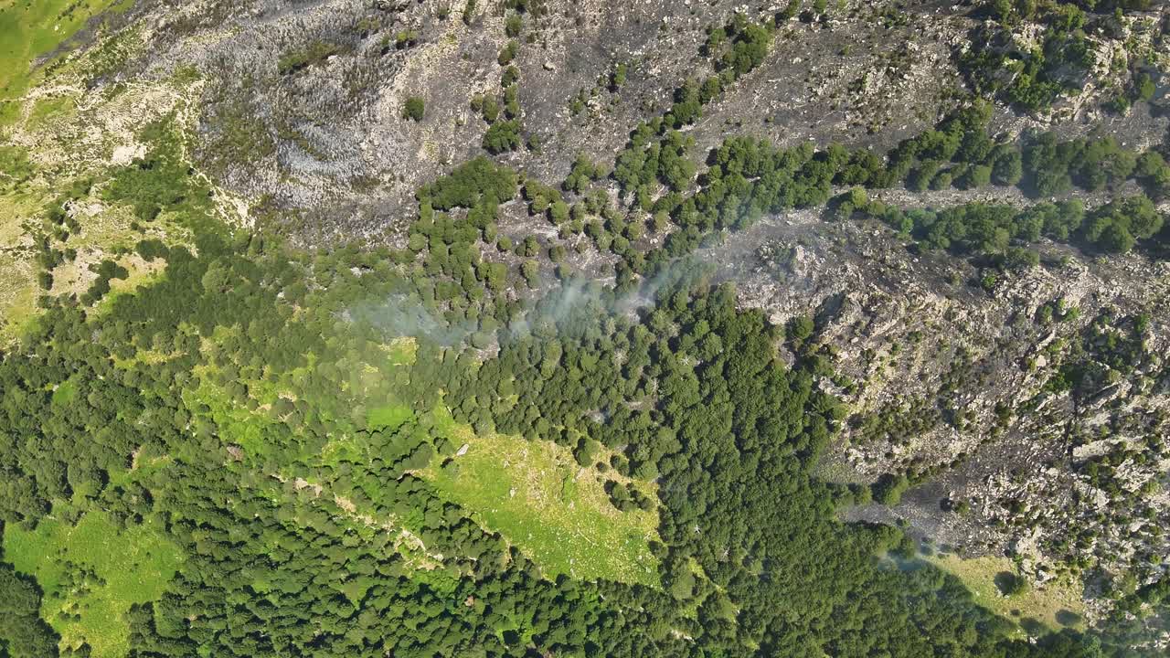 Smoke coming from wildfire in the forest at the foot of the mountain burning trees