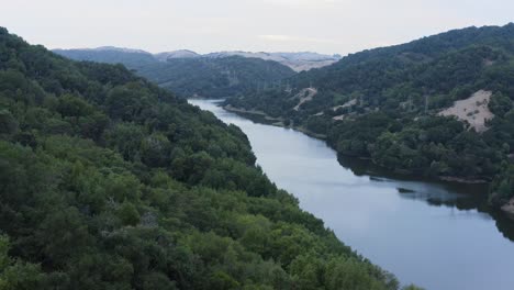 bonitas vistas del río y el bosque hoy