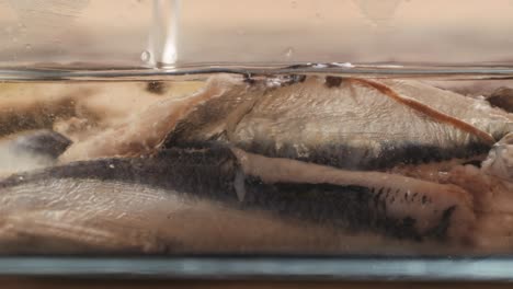 fresh sea sardines and anchovy fish and mullus on display on ice on market store shop. seafood fish background, close up stand of small salty white fish.