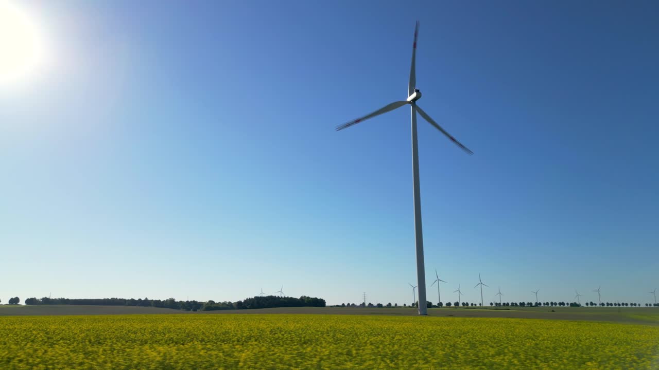 Drone view of a wind turbine standing in a rapeseed field, blue sky, and full sun, renewable energy sources