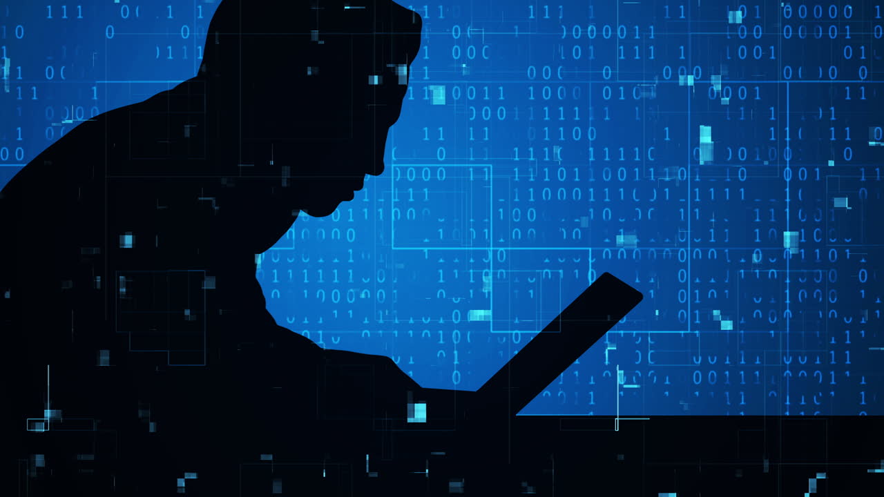 Silhouette of a Programmer