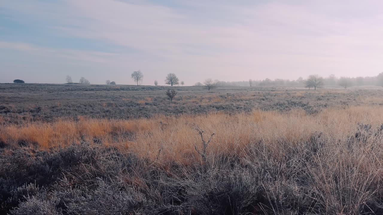 panorama de un campo de invierno cubierto de escarcha esponjosa durante el día