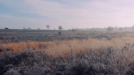 panorama einer winterlandschaft, die tagsüber mit flauschigem frost bedeckt ist