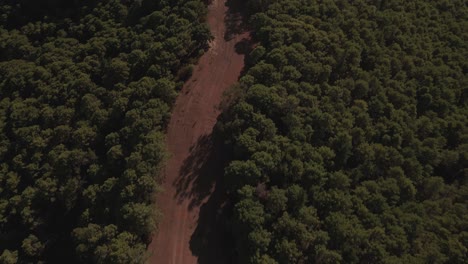 Aerial-view-of-countryside-path-on-the-forest