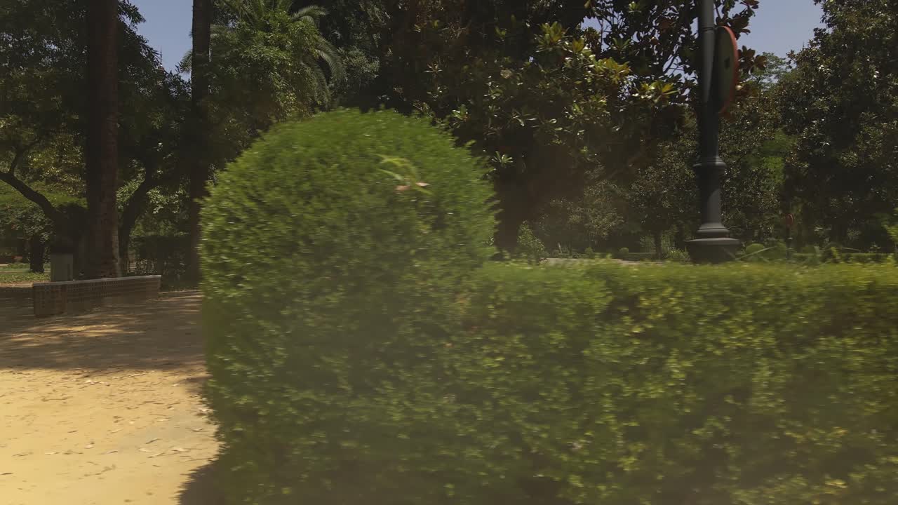 movimiento de camiones derecho de un camino de un parque a otro