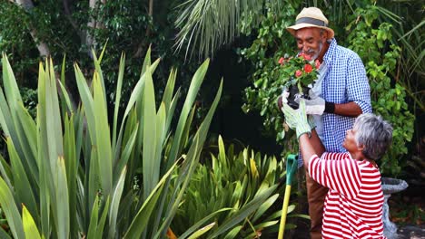 Senior-couple-looking-at-the-flowering-pot-plant