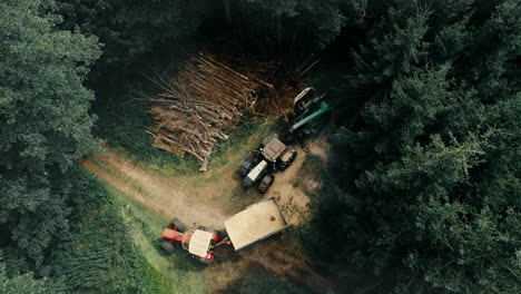 Maquinaria-Maderera-En-Un-Claro-Del-Bosque,-Con-Madera-Apilada,-Vista-Aérea