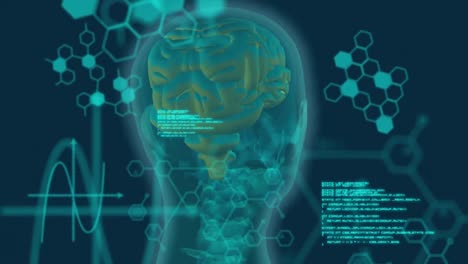 animación del cerebro con tecnología y procesamiento de datos