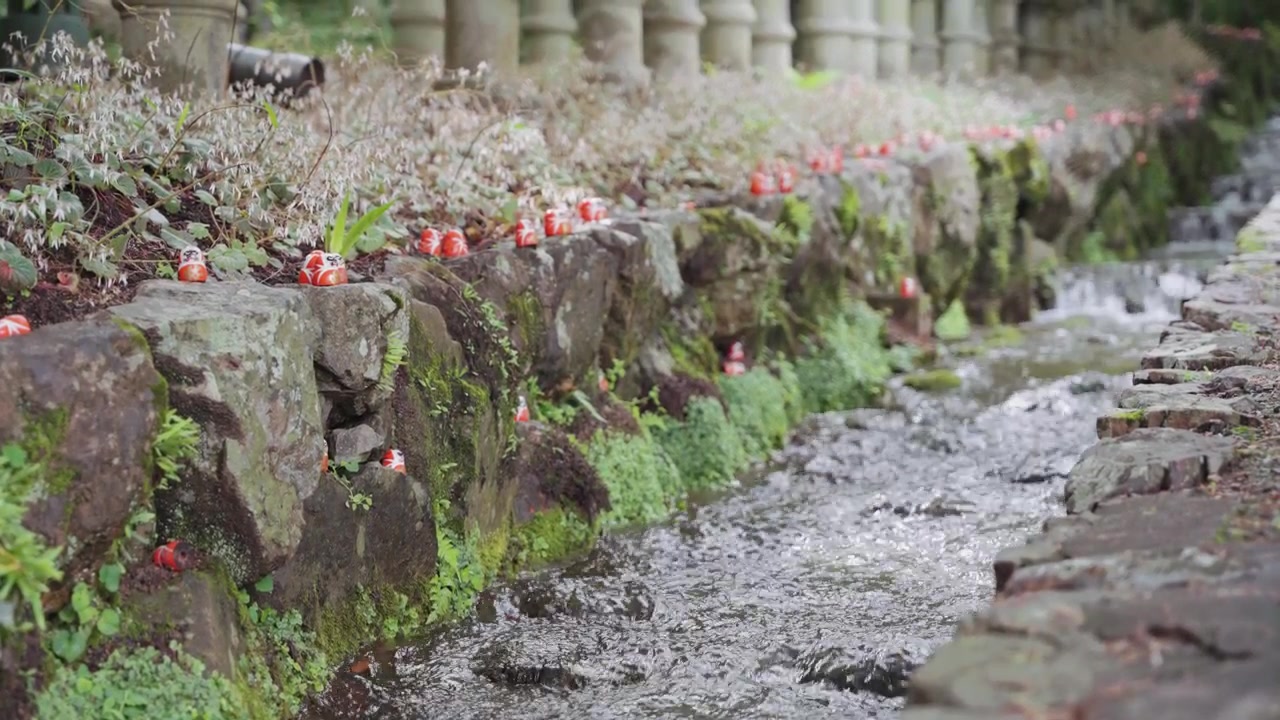 Molte piccole bambole Daruma rosse decorano le rive rocciose di un ruscello che scorre al Tempio Katsuoji, circondate da un lussureggiante paesaggio di giardino giapponese a Osaka.