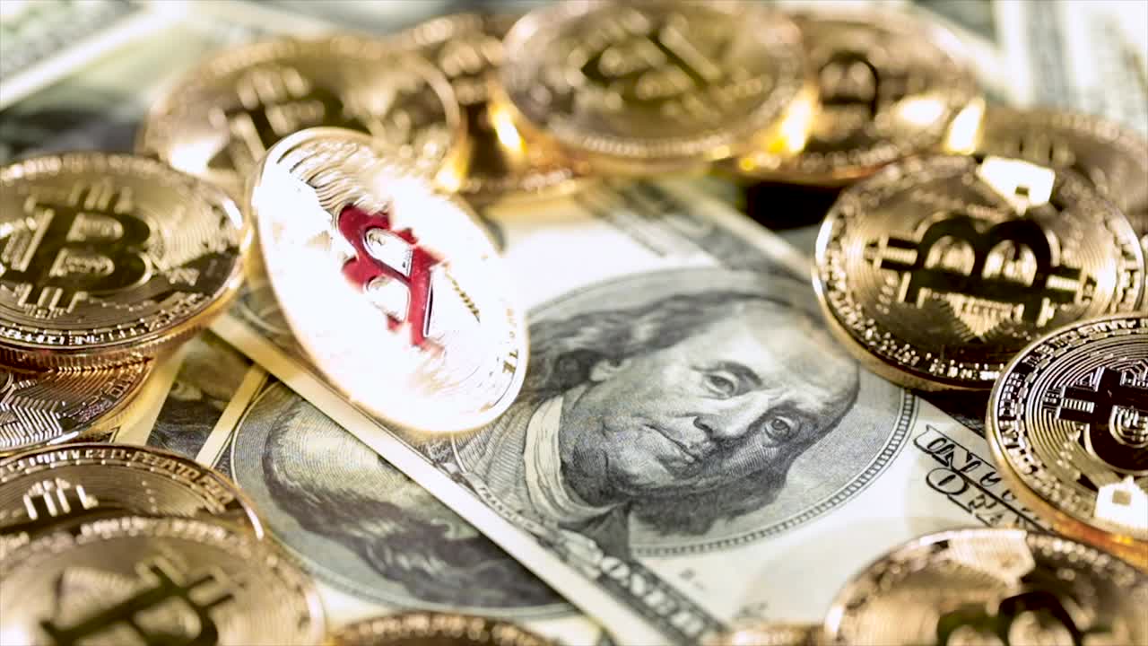 금 동전 비트 btc 동전과 달러 지폐.