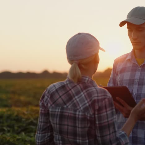 farmers are discussing in the field using a tablet