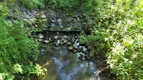 „Drohne-Erkundet-Anmutig-Den-Im-Morgengrauen-Erleuchteten-See-Europas-Und-Enthüllt-Eine-Ruhige-Lagune,-Einen-üppigen-Wald,-Eine-Elegante-Brücke-Und-Einen-Biberdamm-–-Eine-Faszinierende-Vogelperspektive-Und-Eine-Malerische-Aussicht-Vom-Himmel