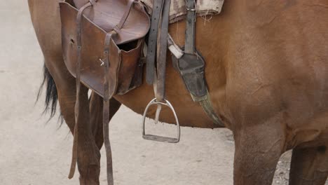 camera tilt: saddle and pannier detail on horse in lesotho, africa