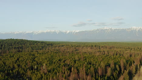 dense endless forest stretching towards the rocky mountains