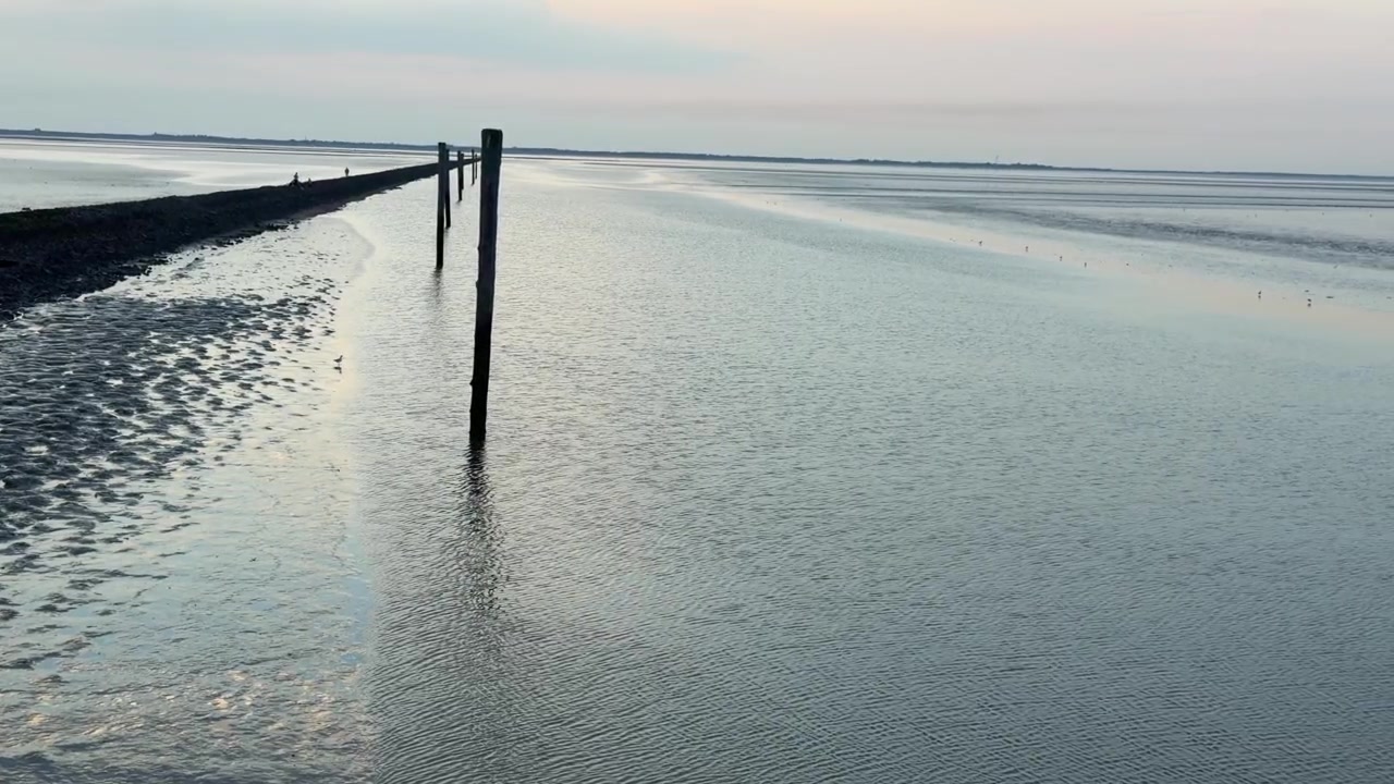 Ruhiges Meerwasser, das sich sanft entlang eines Gezeitenwatts mit Holzpfählen in der Dämmerung kräuselt