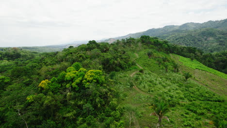 Volar-Sobre-El-Bosque-Tropical