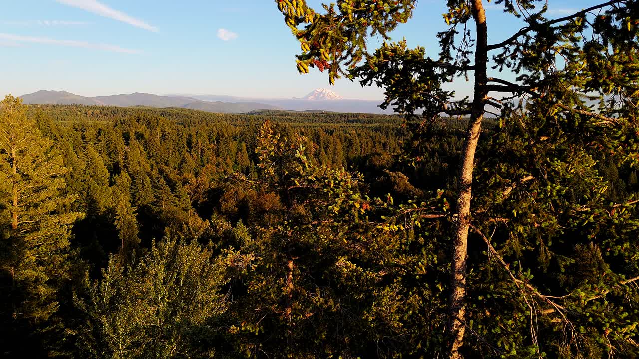 fotografía aérea estacionaria escénica alcanzando su punto máximo a través de un árbol de hoja perenne con el monte rainier en el fondo durante la puesta de sol