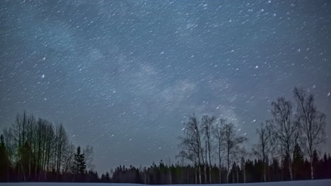 Sternspuren-Bewegen-Sich-Am-Dunklen-Himmel,-Waldsilhouette-Mit-Magischem-Sternenhimmel,-Zeitraffer