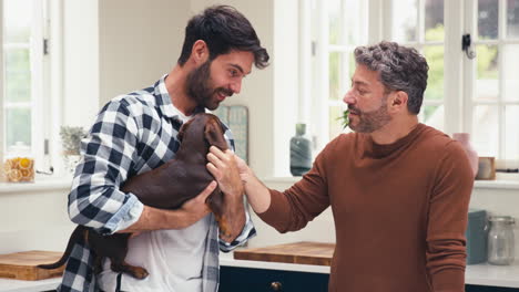 Same-Sex-Male-Couple-At-Home-In-Kitchen-Stroking-Pet-Dachshund-Dog