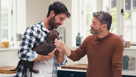 same sex male couple at home in kitchen stroking pet dachshund dog